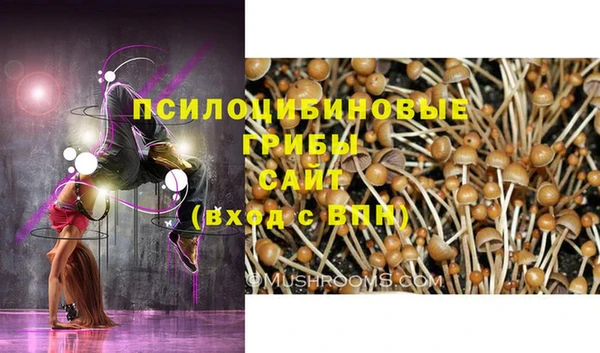 таблы Алзамай