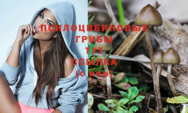 таблы Алзамай