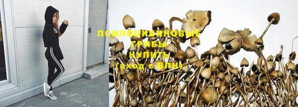 трава Надым