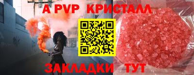 стафф Белореченск