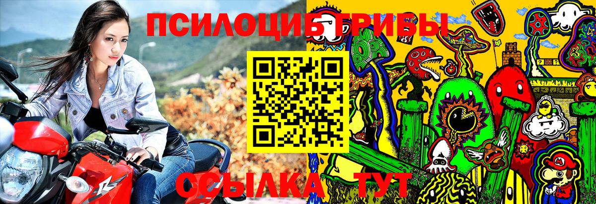 Галлюциногенные грибы прущие грибы Переславль-Залесский